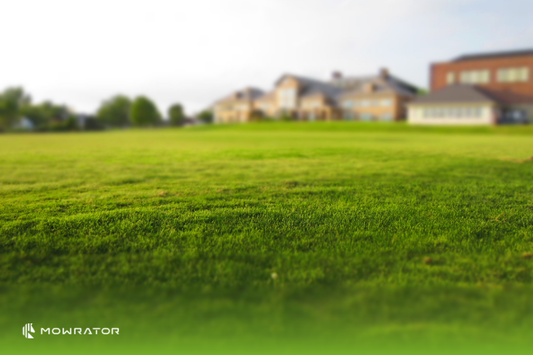 How To Thicken Your Lawn Grass
