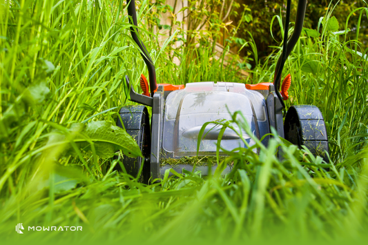 How to Cut Long Grass | Best Strategies