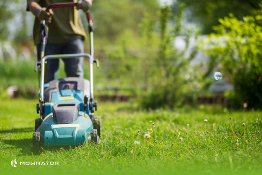 Lithium Ion vs LiFePO4 in Electric Lawn Mowers