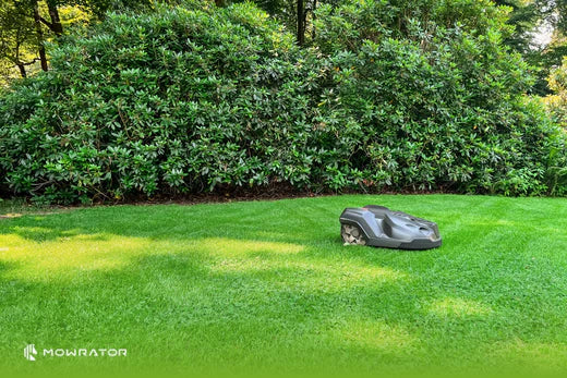 The Best Commercial Robotic Lawn Mowers
