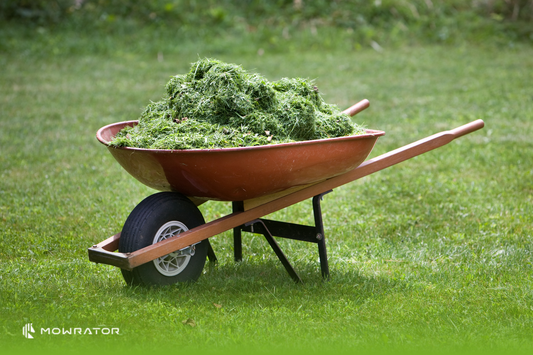 What to do with Your Grass Clippings?