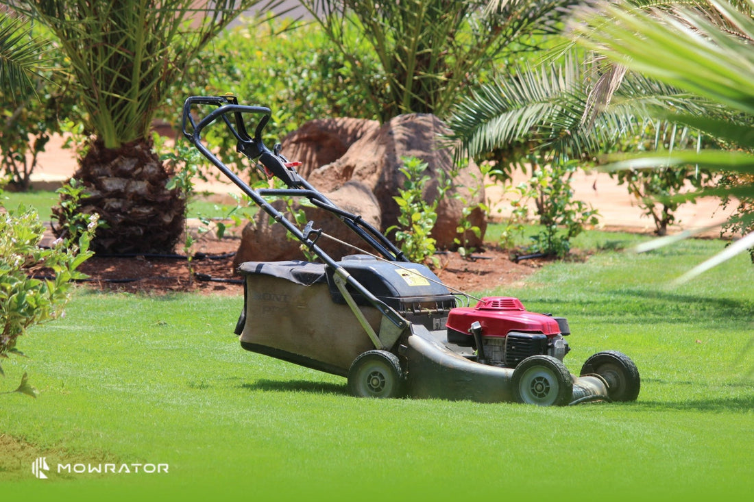 How Often Should You Mow Your Grass?