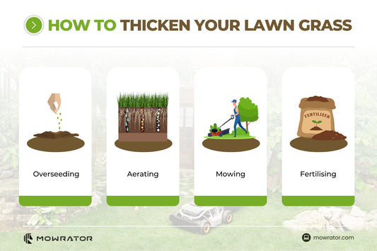 How To Thicken Your Lawn Grass | Mowing To Get A Thicker Lawn