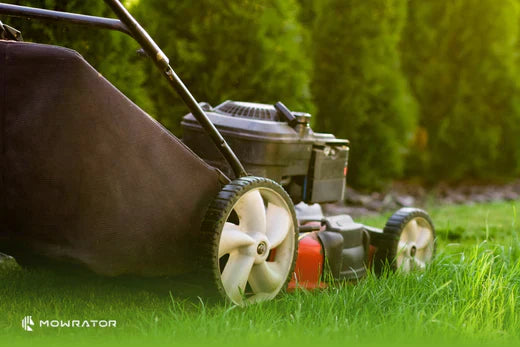 Self-Propelled vs Push Mower