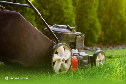 Push vs. Self-Propelled Mowers