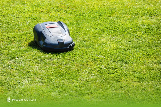 Robot Lawn Mower Maintenance