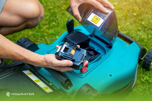 Electric vs Gas Lawn Mowers: Which Should You Buy?