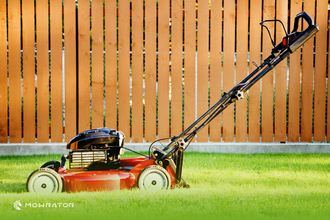 How Often Should You Mow Your Grass?