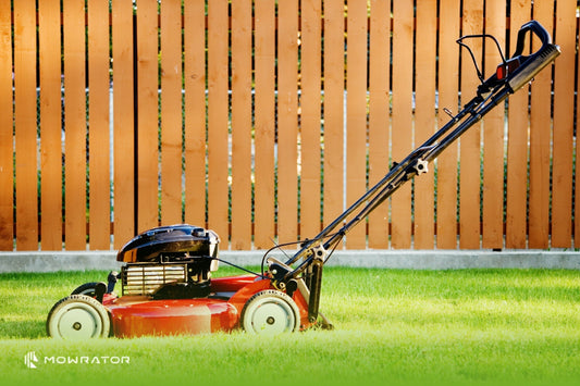 How Often Should You Mow Your Grass?