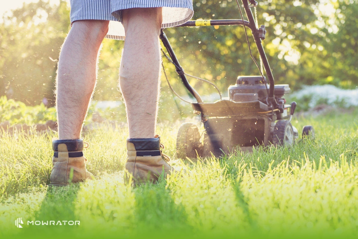 What Time Can I Mow My Lawn? | Best Mowing Lawn Times – Mowrator AU