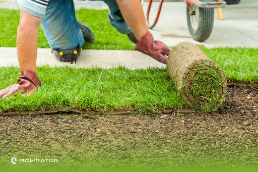 When to Mow New Sod