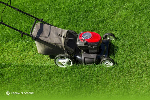 What is the Standard Lawn Mower Decibel Level?