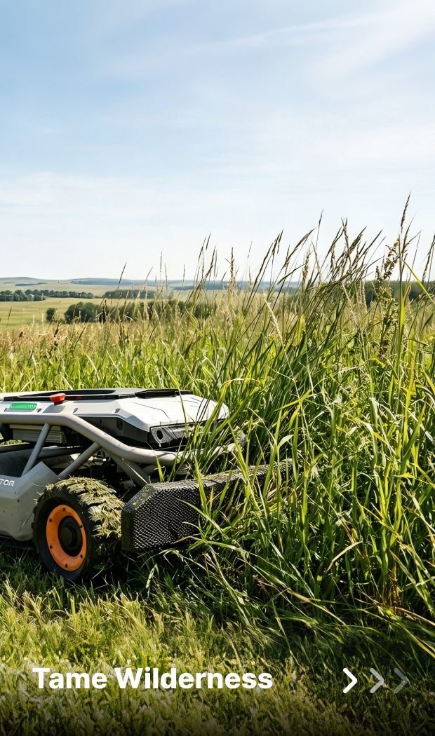 Tame Wilderness