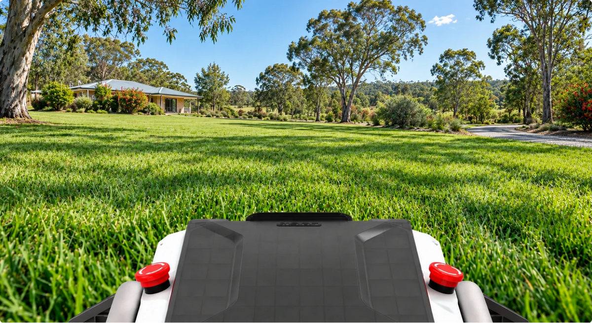 First-person view from a Mowrator remote control lawn mower across a large Australian lawn with eucalyptus trees